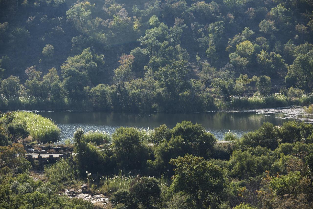 Phumelo Lodge 벨라벨라 외부 사진