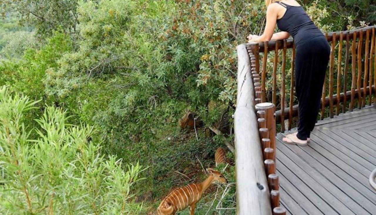 Phumelo Lodge 벨라벨라 외부 사진